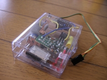 flash-2.jpg