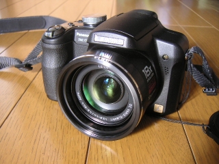 p1.jpg
