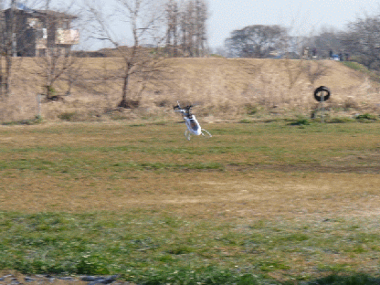 p05.gif