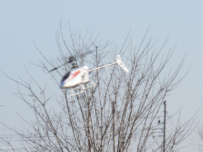 p09.gif
