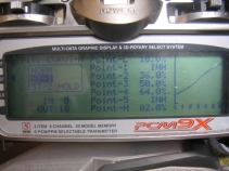 trex-37.jpg