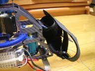 trex-10.jpg