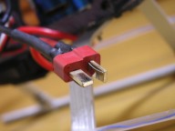 trex-14.jpg