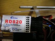 trex-15.jpg