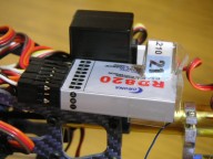 trex-16.jpg