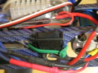trex-18.jpg