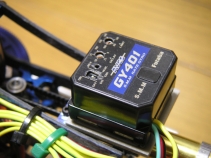 trex-23.jpg
