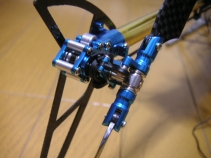 trex-25.jpg