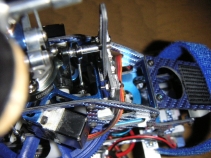 trex-28.jpg
