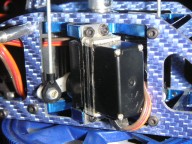 trex-3.jpg