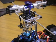 trex-6.jpg
