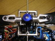 trex-7.jpg