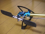 trex-8.jpg