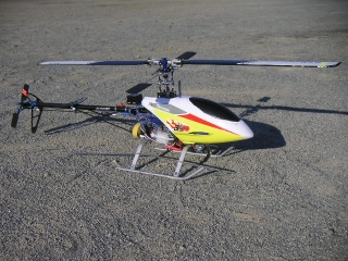 trex-41.jpg